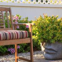 Cheshire Cat Inn 