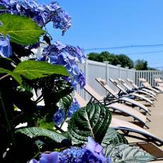 Sea View Motel 