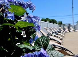 Sea View Motel 