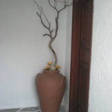 Zorbas Rooms 