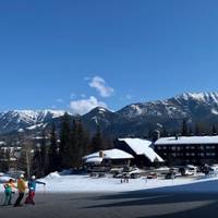 Griz Inn 