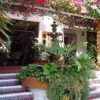Eco-hotel El Rey del Caribe 