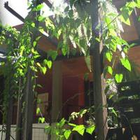Yaxkin Hostel-Palenque 