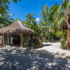 Yoga Shala Tulum 