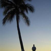Dolphin Cove Inn 
