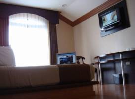 Hotel Dubrovnik 