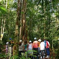 Amazon Ecopark Jungle Lodge