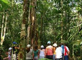 Amazon Ecopark Jungle Lodge 