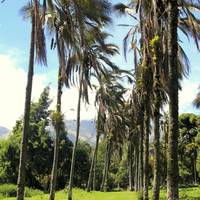 Hosteria Hacienda Pinsaqui 