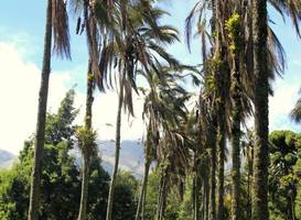 Hosteria Hacienda Pinsaqui 