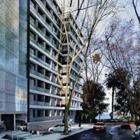 Palm Beach Plaza Hotel 