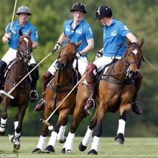 Palo Alto Polo Resort 