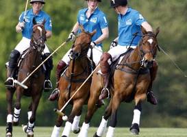 Palo Alto Polo Resort 
