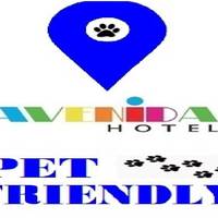 Hotel Avenida 