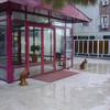 Florya Park Hotel 