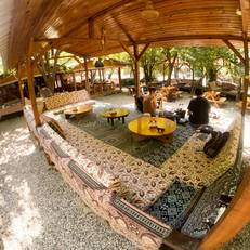 Saban Tree Houses 