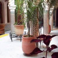 Riad Dar Alia 