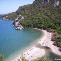 Acar Pension 