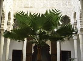 Riad Azahra 