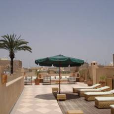 Riad Janoub 