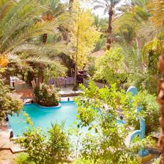 Riad Lamane 