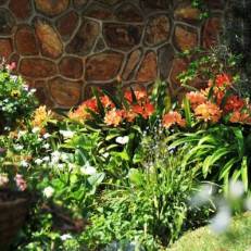 Claires of Sandton Luxury Guest House 