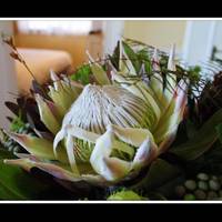 La Fontaine Guest House Hermanus 