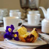 Lyngrove wines & Guesthouse 