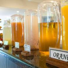 Rivonia Bed and Breakfast 