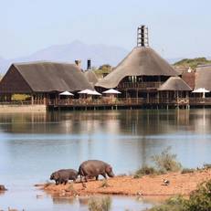 Buffelsdrift Game Lodge 
