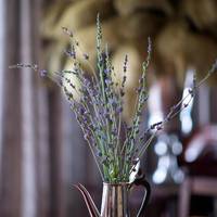 Batavia Boutique Hotel 