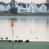 Winelands Golf Lodges 