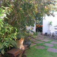 Jambo Guest House 