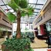 Hanting Hotel - Shanghai Changshou Road 