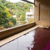 Arima Onsen Gekkoen Yugetsusanso 