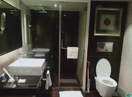 Davanam Sarovar Portico Suites 