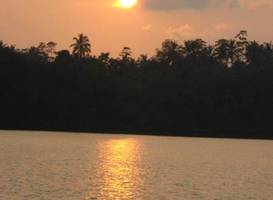 Mangrove Villa - Bentota River 