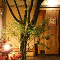 Nikko Akarinoyado Villa Revage