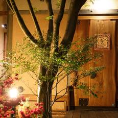 Nikko Akarinoyado Villa Revage 