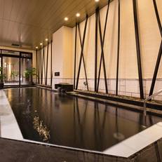 Himeji Castle Grandvrio Hotel 