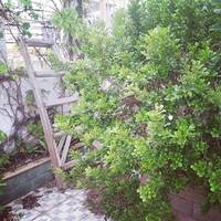 Zhuhai Journey House Hostel 
