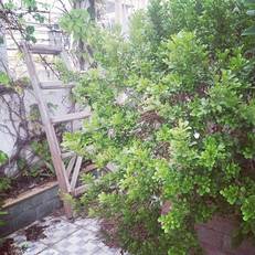 Zhuhai Journey House Hostel 