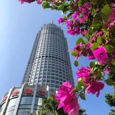 Swissotel Foshan, Guangdong 