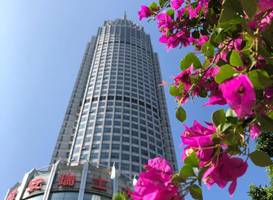 Swissotel Foshan, Guangdong 