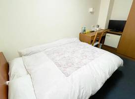 Business Hotel Rupinasu 