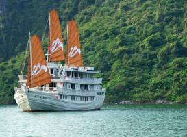 Paradise Luxury Cruise 