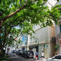 Conifer Boutique Hotel 