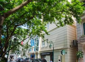 Conifer Boutique Hotel 