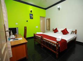 Ideal Ayurvedic Resort 