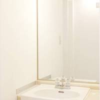 Shin-Okubo City Hotel 